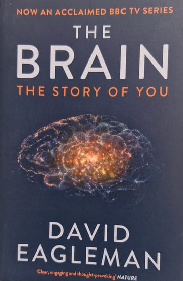 Cover of The Brain: The Story of You